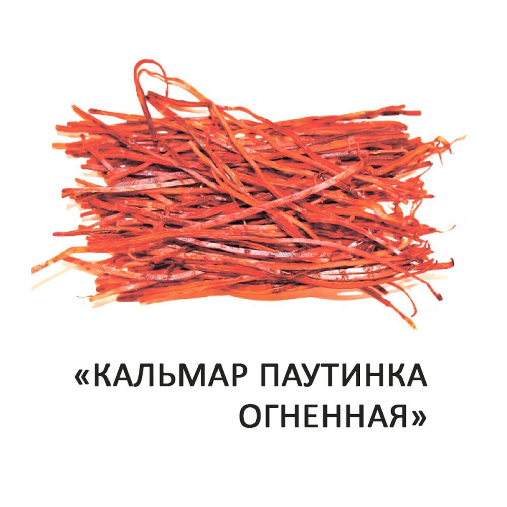 Кальмар паутинка огненная